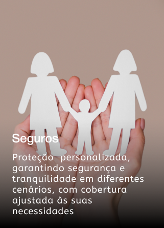 seguros (1)